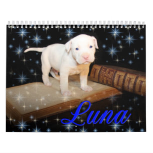 Luna der gerettete verlassene Welpen-Hund Kalender