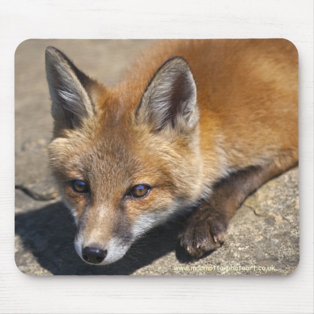 Luna Fox-Mauspad Mousepad (Vorne)