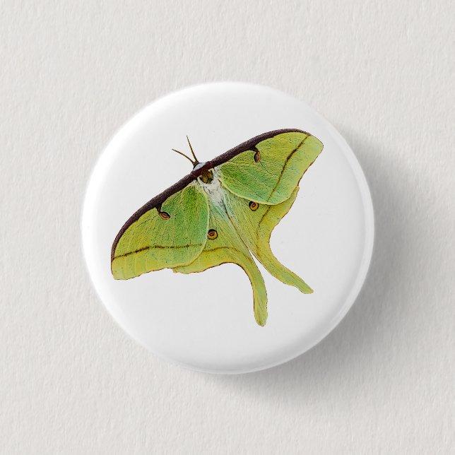 Luna Moth Artwork in lebendiger Farbe Button (Vorderseite)