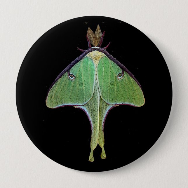 Luna Moth Button (Vorderseite)