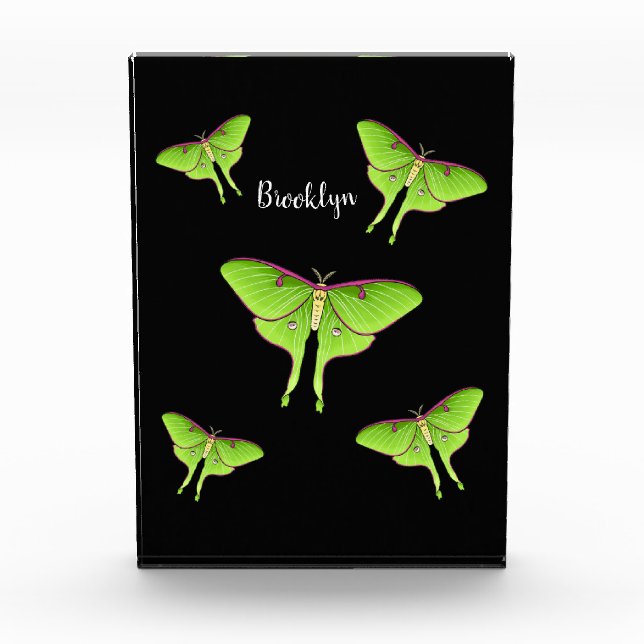 Luna Moth cartoon illustration   Fotoblock (Vorderseite)
