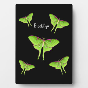 Luna Moth Cartoon Illustration Fotoplatte