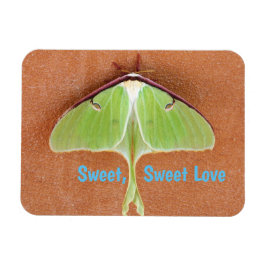 Luna Moth Flexible Magnet
