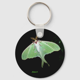 Luna Moth Foto Schlüsselanhänger