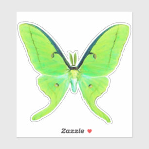 Luna Moth - Lime Green und Pale Green Aufkleber