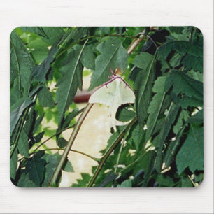 Luna Moth Mousepad