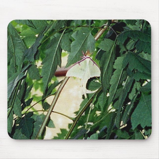 Luna Moth Mousepad (Vorne)