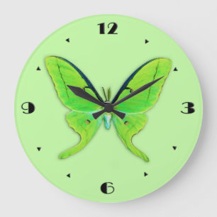 Luna moth on a pale green background große wanduhr