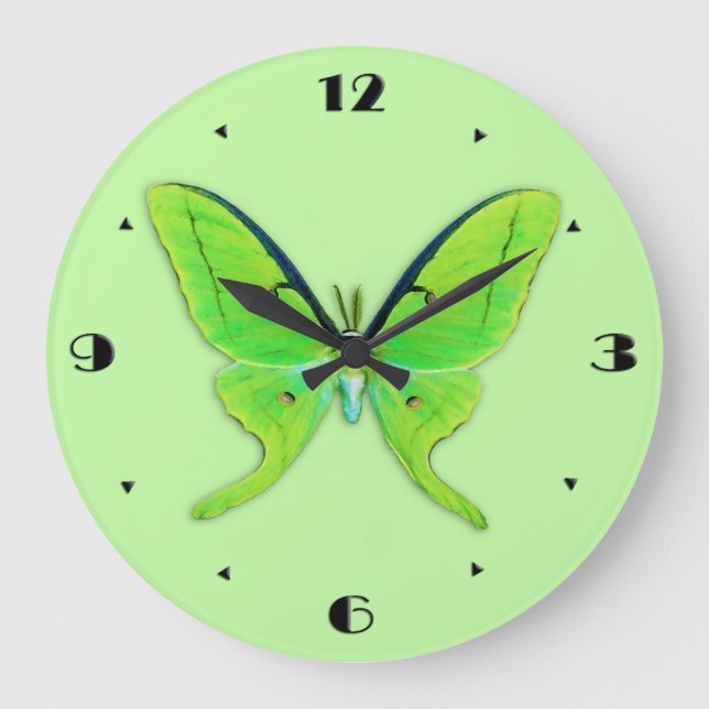 Luna moth on a pale green background große wanduhr (Vorderseite)