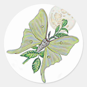 Luna Moth Runder Aufkleber