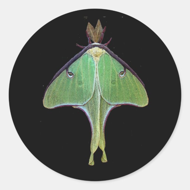 Luna Moth Runder Aufkleber (Vorderseite)
