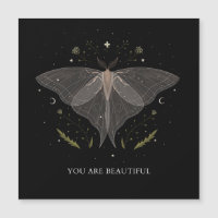 Luna Moth - Sie sind wunderschön