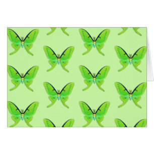 Luna moth sur un arrière - plan vert pâle
