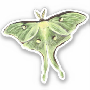 Luna Moth Vinyl Sticker