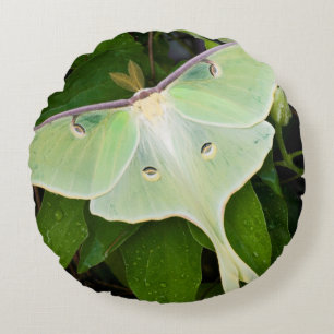 Luna-Motte auf Carnaby Clematis Rundes Kissen