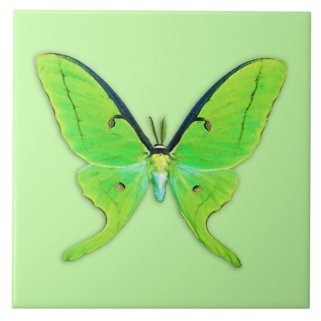 Luna-Motte auf hellgrünem Hintergrund Fliese (Vorderseite)