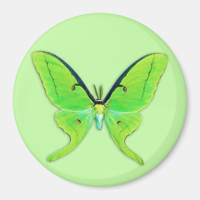 Luna-Motte auf hellgrünem Hintergrund Magnet (Vorne)