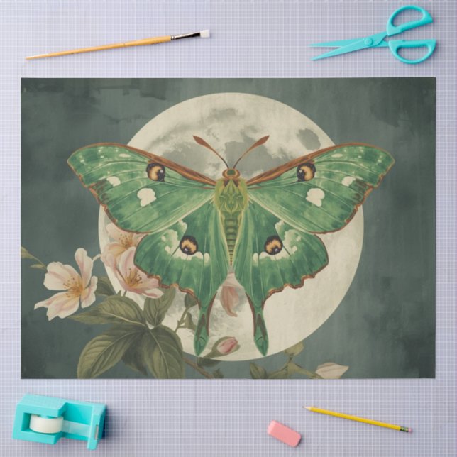 Luna-Motten-Konservatorium Seidenpapier (Basteln)