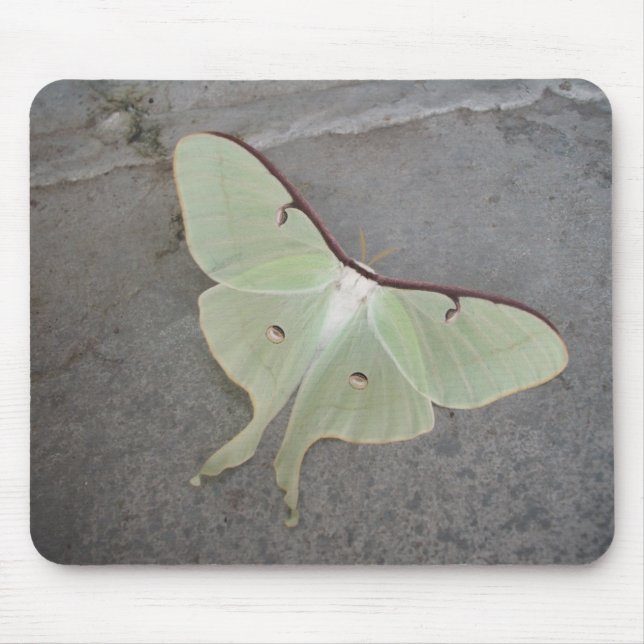 Luna-Mottengrau Hintergrund-mousepad Mousepad (Vorne)