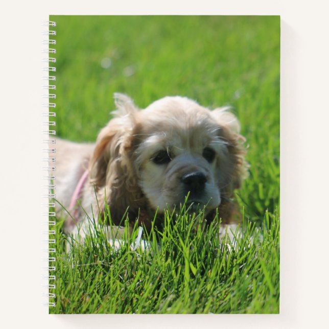 Luna Notizbuch (Vorderseite)