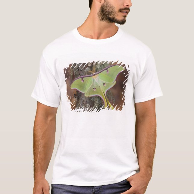Luna Silk Moth T-Shirt (Vorderseite)