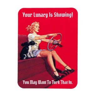 Lunacy Vintag Button-Up Magnet