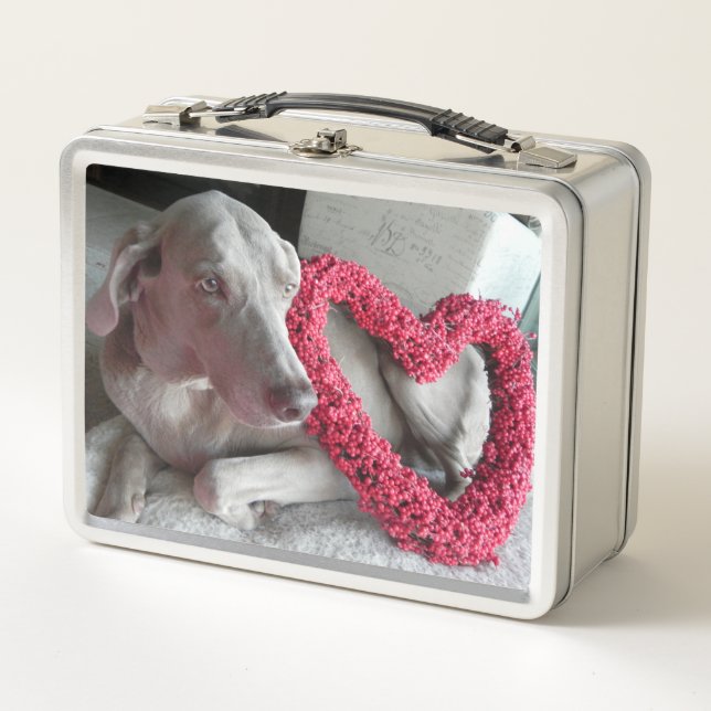 Lunch Box Amour, pluie - Chien Weimaraner (Devant)