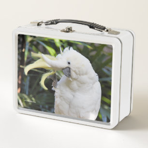 Lunch Box Amusante Vagues D'Oiseaux De Cockatoo Au Sulfure