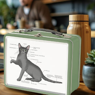 Lunch Box Anatomie du chat amusant