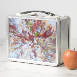 Lunch Box Arbre à fruits Abstrait