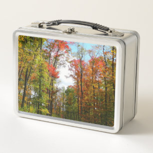 Lunch Box Arbres d'automne et ciel bleu Photographie de la n