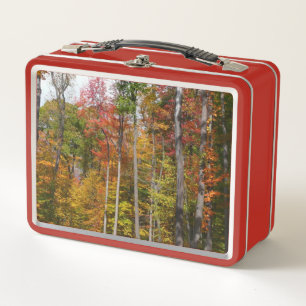 Lunch Box Automne dans la forêt Colorée Photographie d'autom