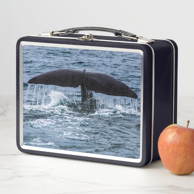 Lunch Box Baleine de Sperm (En situation)