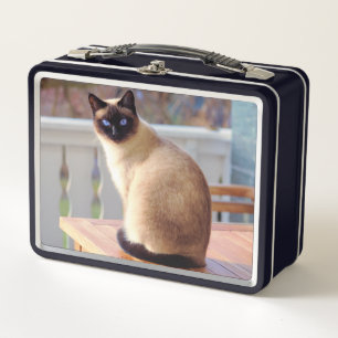Lunch Box Beau chat siamois avec yeux bleus