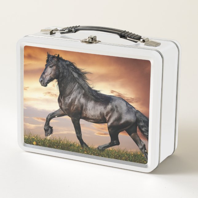 Lunch Box Beau Cheval Noir (Devant)