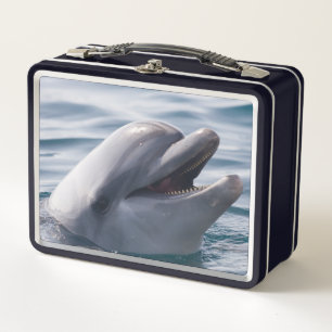 Lunch Box Beau gros plan d'un dauphin