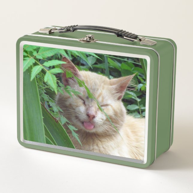 Lunch Box Bête le chat idiot errant (Devant)