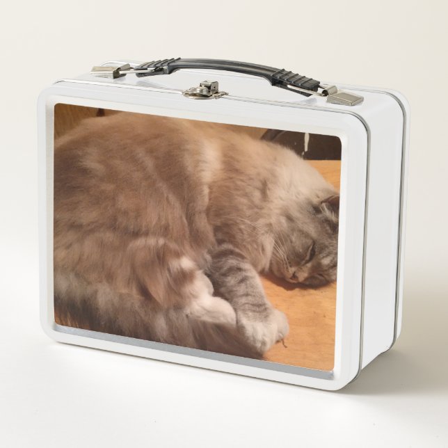 Lunch Box Boîte à lunch pour chat (Devant)