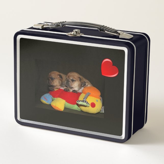 Lunch Box Bouledogue français chiots mignons Bouledogue fran (Devant)