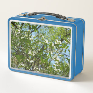 Lunch Box Branches de fleurs de cornouiller, arbres printani