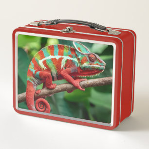 Lunch Box Caméléon 