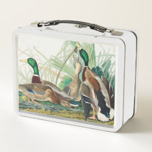 Lunch Box Canard colvert des oiseaux d'Amérique (Audubon)