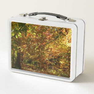 Lunch Box Canopée des Feuilles d'automne II Photographie d'a