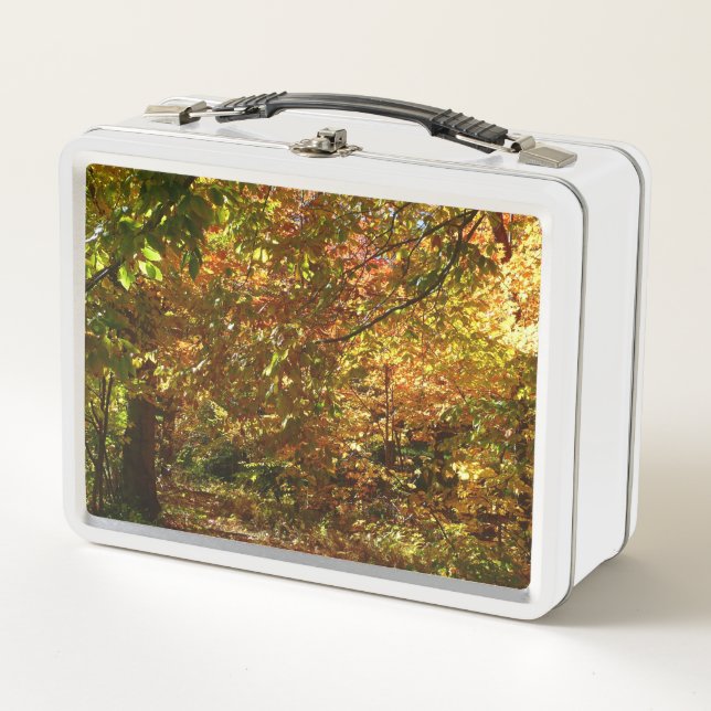Lunch Box Canopée des Feuilles d'automne II Photographie d'a (Devant)