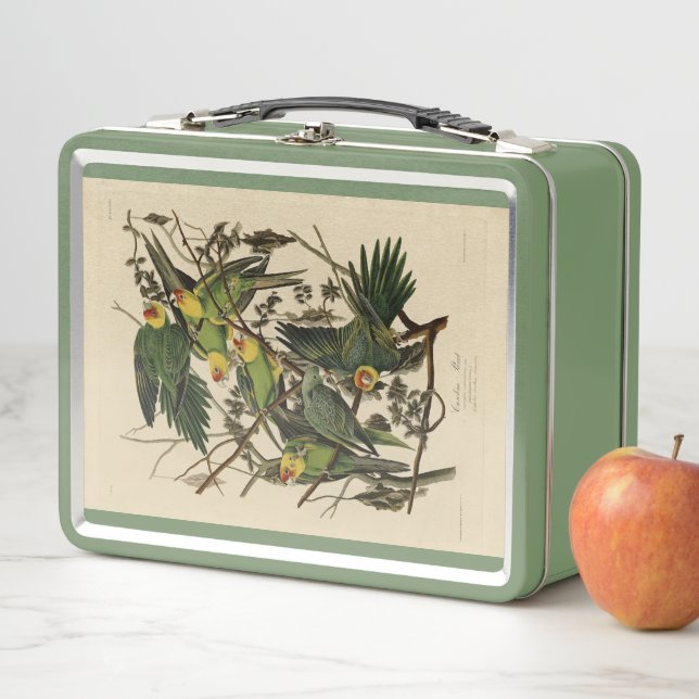 Lunch Box Carolina Parrot de Audubon's Birds of America (En situation)