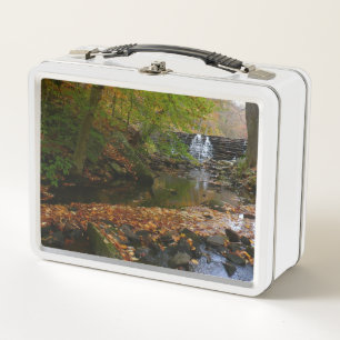 Lunch Box Cascade automnale et Creek Pennsylvania Nature
