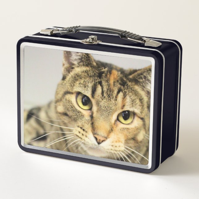 Lunch Box Chat (Devant)