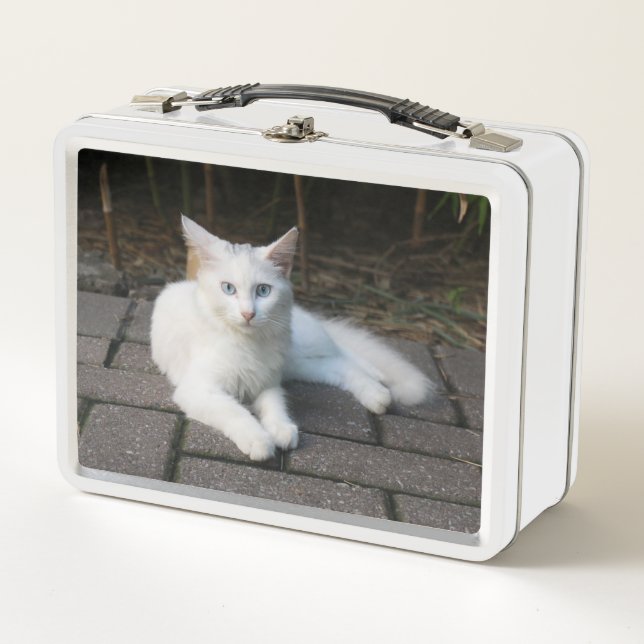 Lunch Box Chat blanc (Devant)
