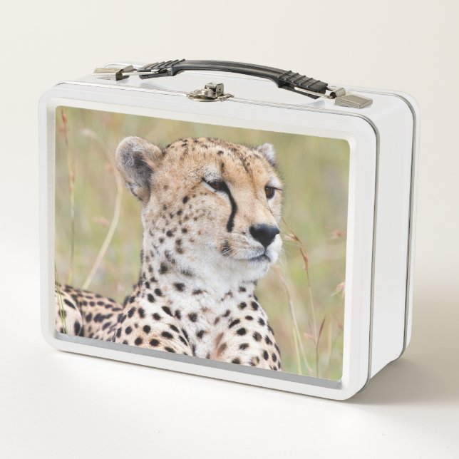 Lunch Box Cheetah (Devant)
