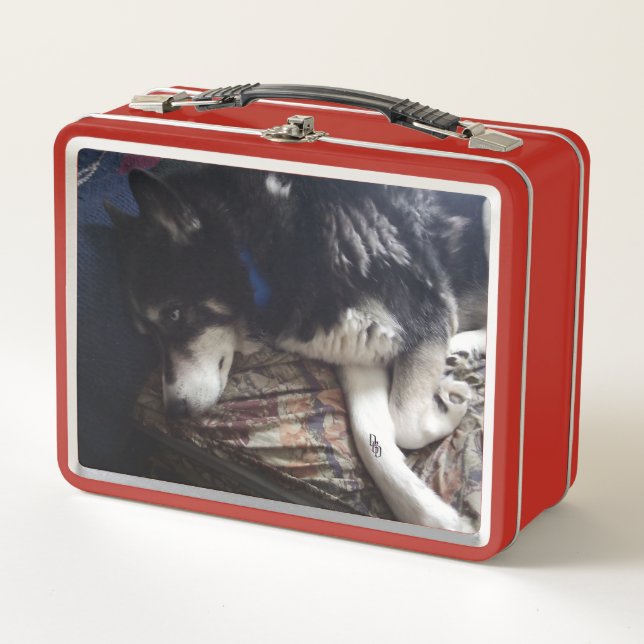 Lunch Box Chien endormi (Devant)